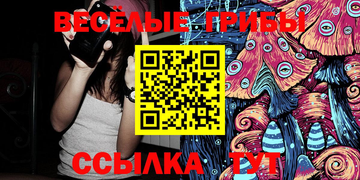 Кашира  Галлюциногенные грибы Psilocybe  Псилоцибиновые грибы прущие грибы  Вход с VPN 